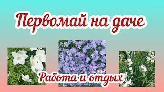 Первомай на даче,работа, отдых,что высадили,что растёт.