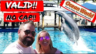 BETTER THAN SEA WORLD | Ocean World | Puerto Plata Amber Cove