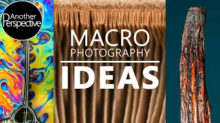 NEW Macro Photography Ideas to shoot at Home