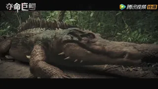 Trailer | 预告：美女雇佣兵大战隐身巨鳄！【夺命巨鳄 Giant Crocodile】