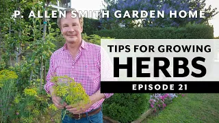 Easy to Grow Herbs | Garden to Kitchen: Garden Home VLOG (2019) 4K