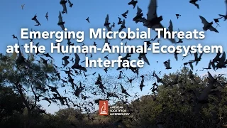 Emerging Microbial Threats at the Human-Animal-Ecosystem Interface by James Hughes, MD