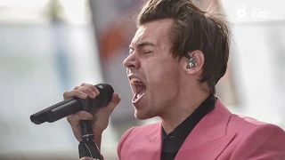 Top 10 Facts About Harry Styles You Probably Didn't Know