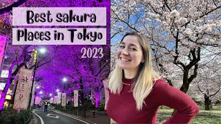 My top 5 favorite spots to watch cherry blossom in 2023 in Tokyo