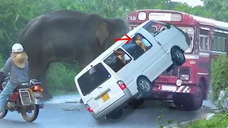 The operation to rescue a van that was attacked by a terrible wild elephant