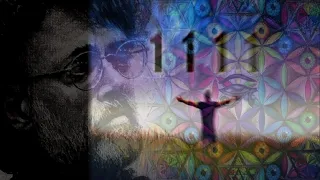 Terence McKenna Describes Synchronicity