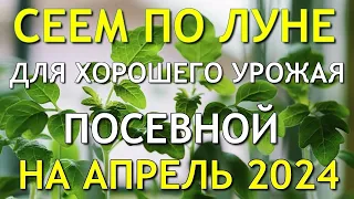 Когда сеять ДЛЯ БОЛЬШОГО УРОЖАЯ! Лунный посевной календарь на Апрель 2024