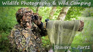 Wildlife Photography & Wild Camping Adventure with Scottish Beavers... and an Announcement!