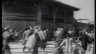 Kamikazes Japonais