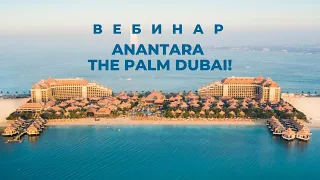 Вебинар с Anantara the Palm Dubai 13.05.2024г