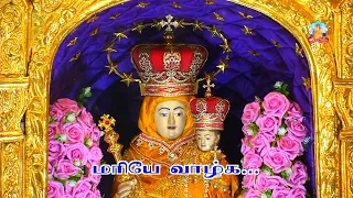 🔴🅻🅸🆅🅴 4th Sep 2021 Car Procession | Our Lady of Health Vailankanni, Nagapattinam | Arputhar Yesu TV