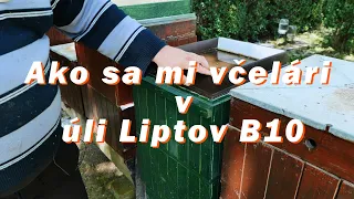 189. Ako sa mi včelári v úli od uleliptov.sk