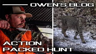 Action Packed Hunt, Bob Tail Doe Down | Owen’s Blog