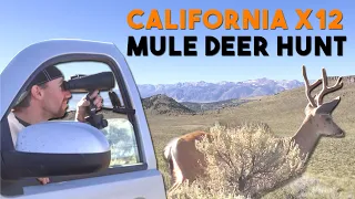 California Mule Deer Hunt X12 | 2018 Complete Hunt VLOG