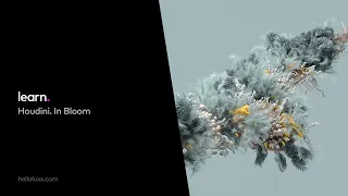 learn. Houdini. In Bloom - Training from Rich Nosworthy