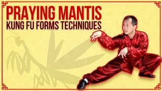 七星螳螂崩步拳7 Star Praying Mantis Kung Fu Forms & Techniques Beng Bo