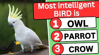 How good is your knowledge of animals and birds | Gk quiz test | Quiz Falcon