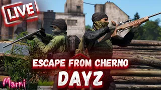 🔥DayZ с ребятами!🔥Escape From Cherno 🔴LIVE