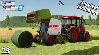 A BIG DAY OF BALING Survival Challenge FS22 Hinterland Ep 23