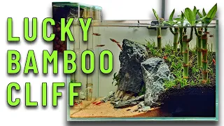 Lucky Bamboo Cliff - Nano Planted Aquarium - Step by Step Guide!