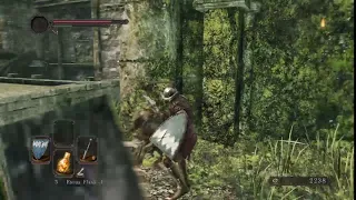 DARK SOULS™ II: Burny Burny Cut Cut