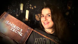 Hagrid's Trunk 🚂 Traveling across the Wizarding World ⚡A Harry Potter Unboxing