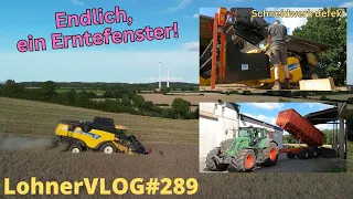 LohnerVLOG#289 Erntefenster! New Holland 8050 Schneidwerk defekt I Raps abfahren mit Fendt 824 Vario