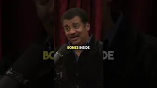 Using X-Rays To Find A Soul 👻 w/ Neil deGrasse Tyson