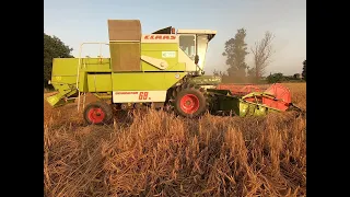 ŻNIWA ROZPOCZĘTE!! JĘCZMIEŃ I MÓJ KOMBAJN CLAAS DOMINATOR W AKCJI