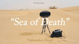 Field Recording Taklamakan Desert Ambience with Schoeps ORTF Surround 4.0