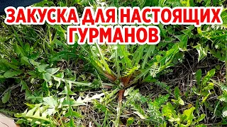 КАПЕРСЫ НА ЗИМУ/СЕЗОН ОТКРЫТ ВКУСНЫХ ПОЛЕЗНЫХ ЗАГОТОВОК @obovsemsmarusya