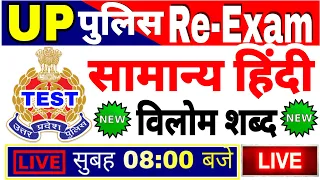 UP Police Constable Re-Exam 2024 | UPP हिन्दी   UP Police Hindi live test UPP Hindi विलोम शब्द