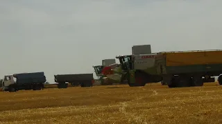 Big Team 3x Claas Lexion 660 Barley Harvest