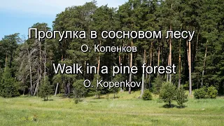 "Прогулка в сосновом лесу" - О. Копенков ("Walk in a pine forest" - O. Kopenkov)