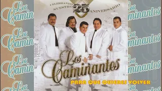 LOS CAMINANTES 30 GRANDES ÉXITOS ROMÁNTICOS - LOS CAMINANTES SUS MEJORES CANCIONES