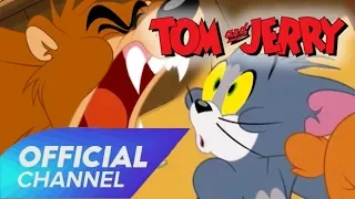 Tom & Jerry Cartoon 2019: Tom & Jerry | Bear Blame | Best Cartoon