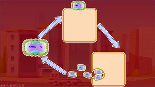 Monkeypox Replicative cycle - Tecovirimat Mechanism of action
