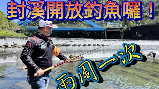 每2周開放一次釣魚!!魚種豐富政府鼓勵大家多釣一點走 適合全家人釣點