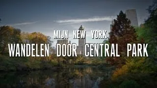 Mijn New York: #8 - WANDELEN DOOR CENTRAL PARK