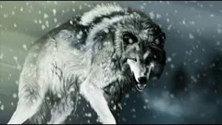 Dire wolf howl sound effect