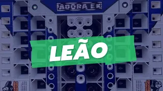 LEÃO - ELÉTRICO DJ MELK | CD FORROZIN FOLIA