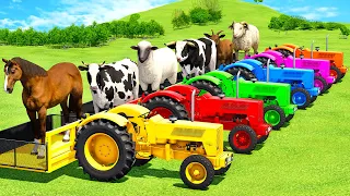 TRANSPORT HORSES & COWS & BULLS & SHEEPS & GOATS WITH HANOMAG TRACTORS & TRUCKS - FS22