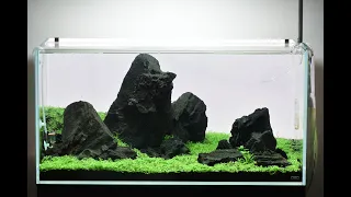 Maintaining my 90P Aquascape Step by Step!