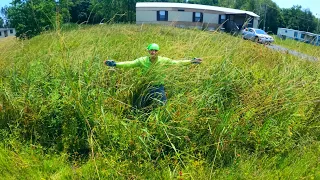 $20?....Deal! (Oddly Satisfying Lawn Care Mowing)