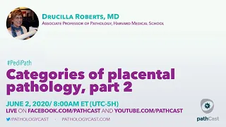 Categories of placental pathology, part 2 - Dr. Roberts (MGH) #PEDIPATH