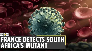 France detects first case of South African coronavirus variant | COVID-19 News | Latest News