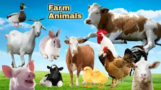 SOUNDS OF FARM ANIMALS: COW, CHICKEN, ROOSTER, SHEEP, GOAT, DUCK, HEN, PIGS - ANIMAL SOUNDS