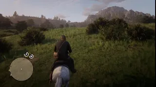 RED DEAD REDEMPTION 2 - An eagle catching its prey