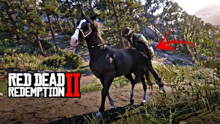 RDR2 - You'll Never Ride All Horses If You Ride This Rare Horse :5