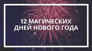 Наталья Токарева. 12 магических дней Нового года